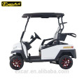 New 2 seater lifted electric golf cart for sale